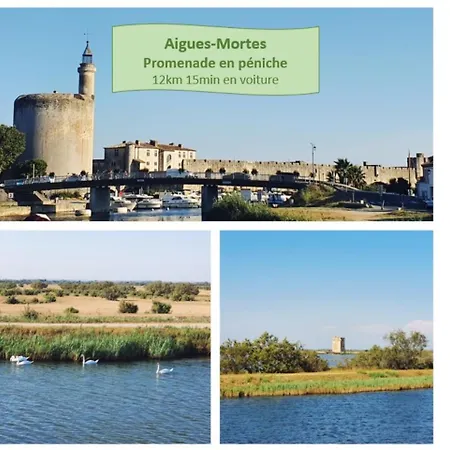 Appartamento L'anémone Roof Parking Clim Wi-fi - Rossiconciergerie - Linge Inclus La Grande-Motte