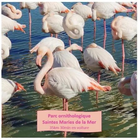 Appartement L'anemone Roof Parking Clim Wi-fi - Rossiconciergerie - Linge Inclus La Grande-Motte