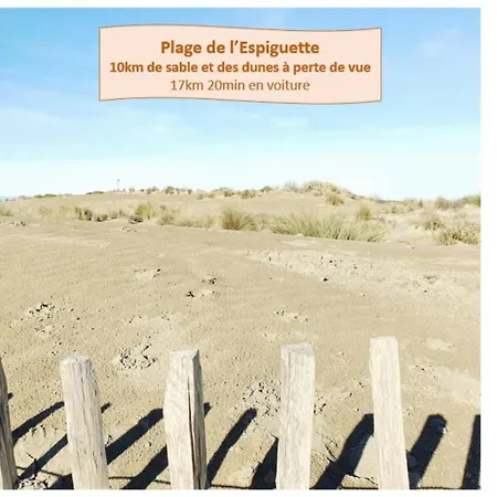 Appartement L'anemone Roof Parking Clim Wi-fi - Rossiconciergerie - Linge Inclus *